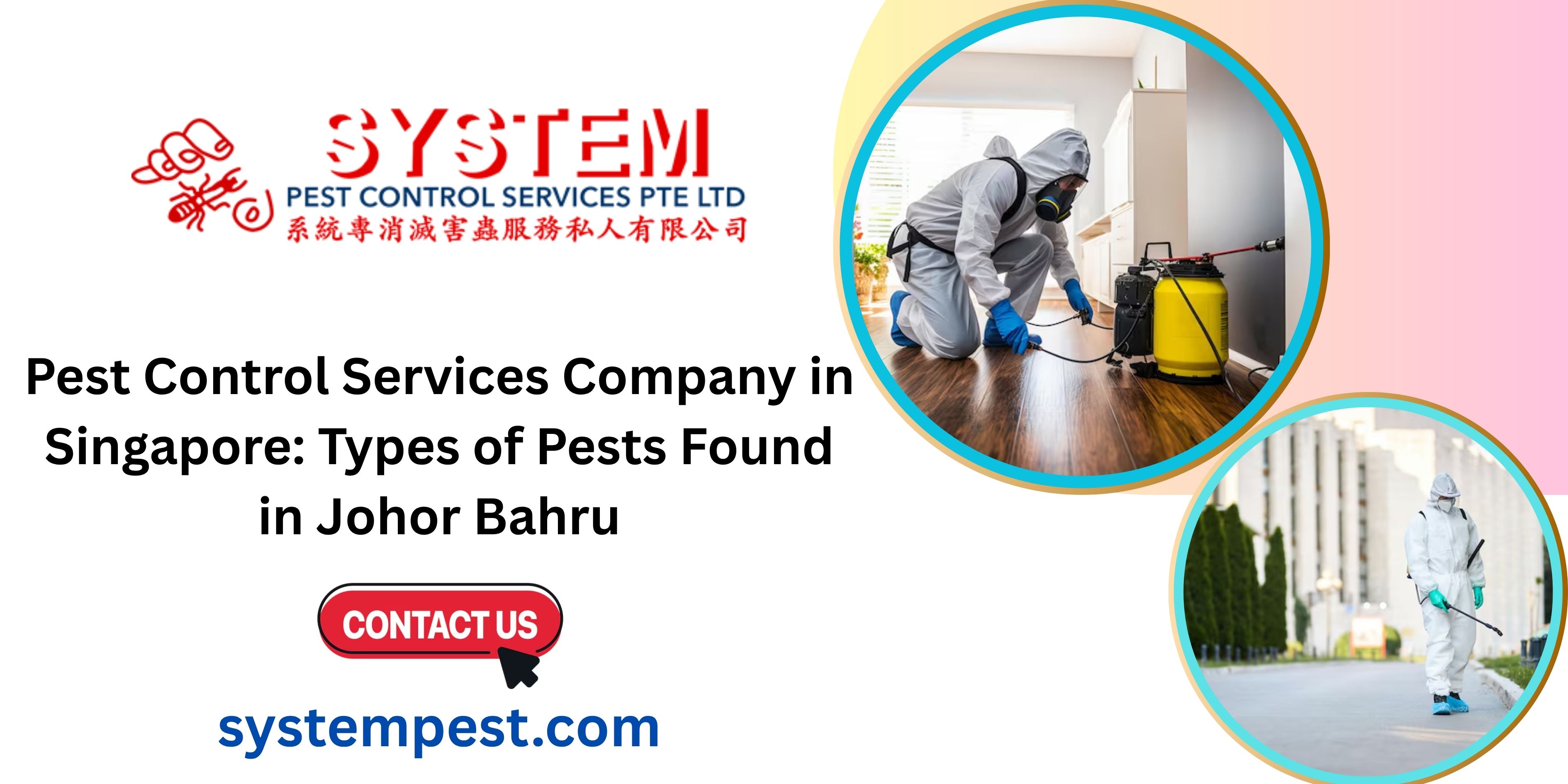 Pest Control Services Company in Singapore: Types of Pests Found in Johor Bahru